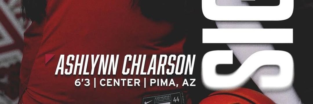 chlarsonashlyn's profile banner image