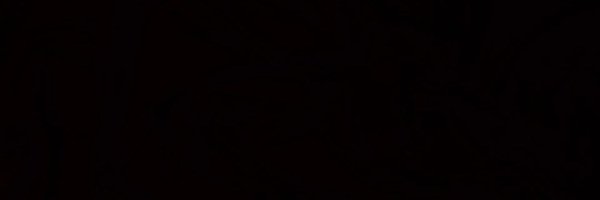 AFizgig Profile Banner