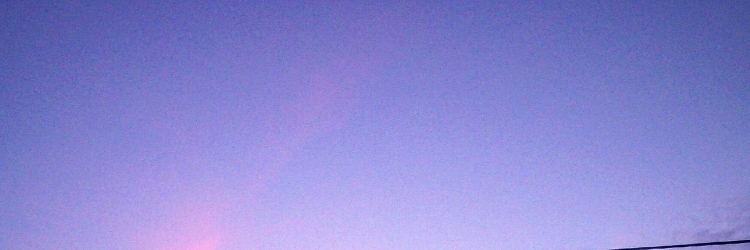 liichik's profile banner image