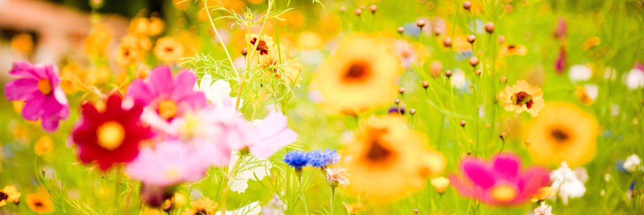 Clairespadd's profile banner image