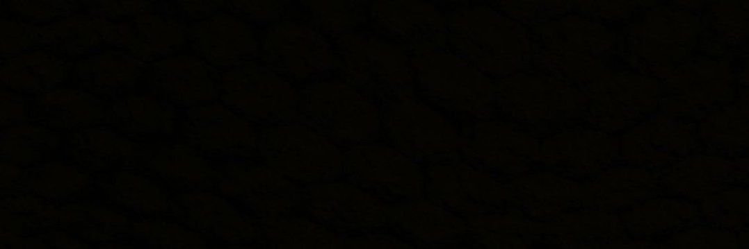 X_SUS banner