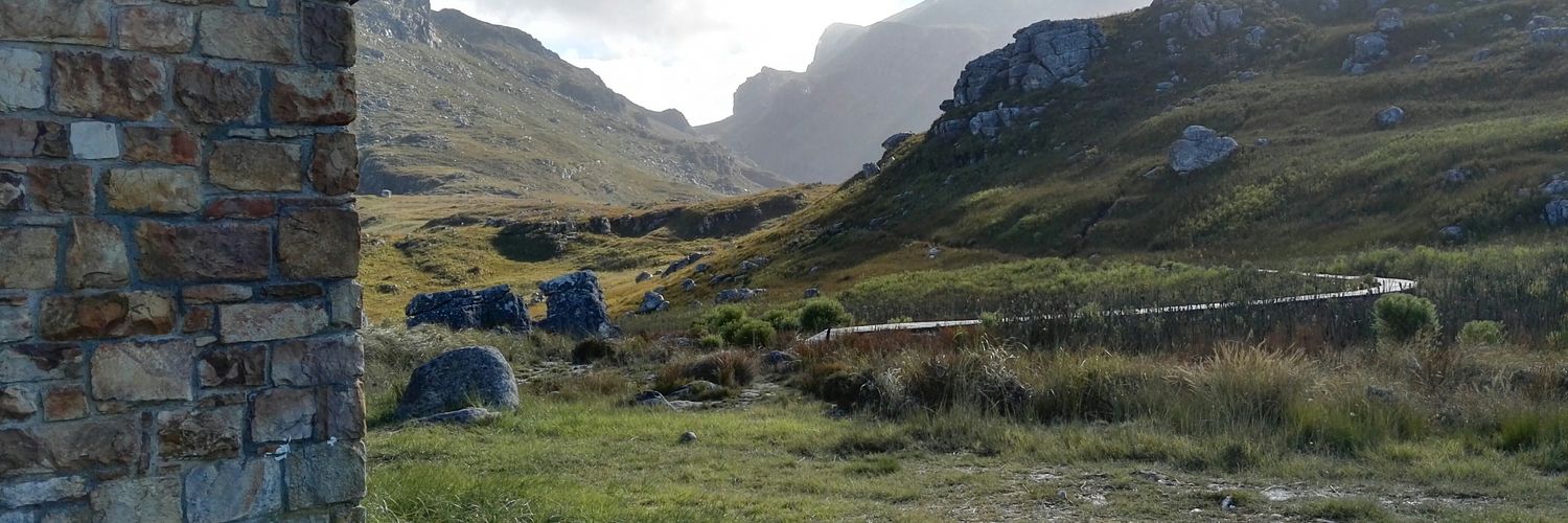 Genevieve Theron banner