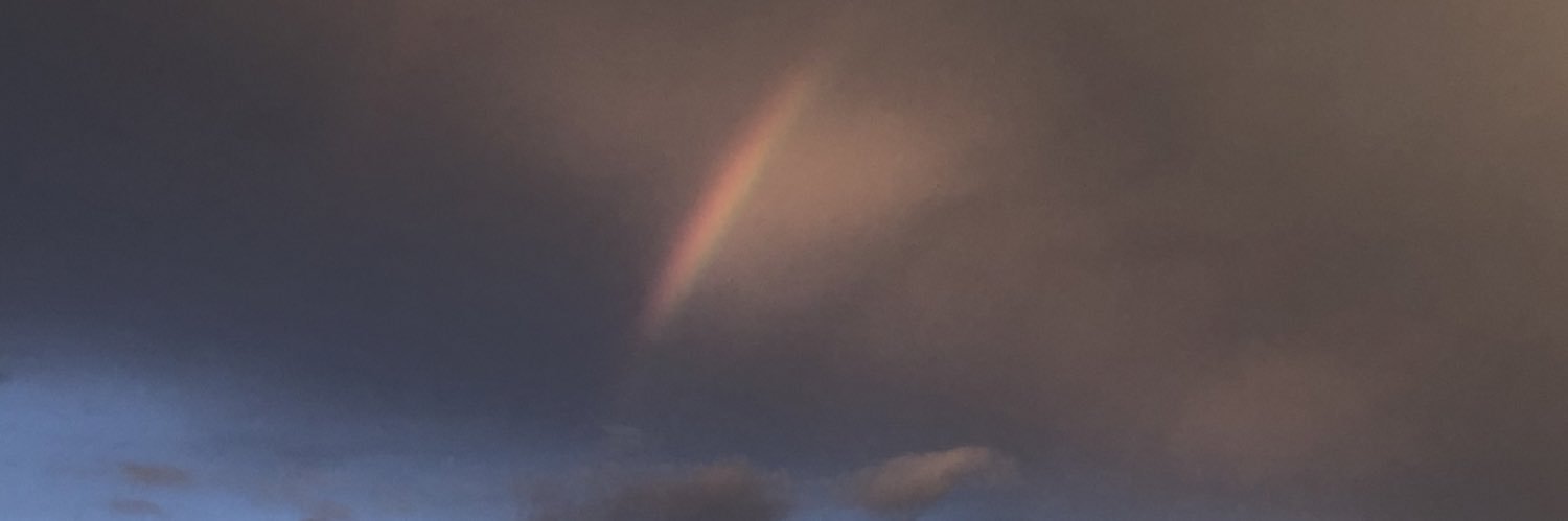 _devildust's profile banner image