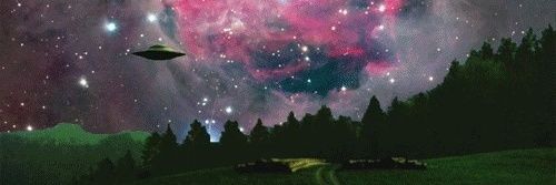 pau_mol's profile banner image