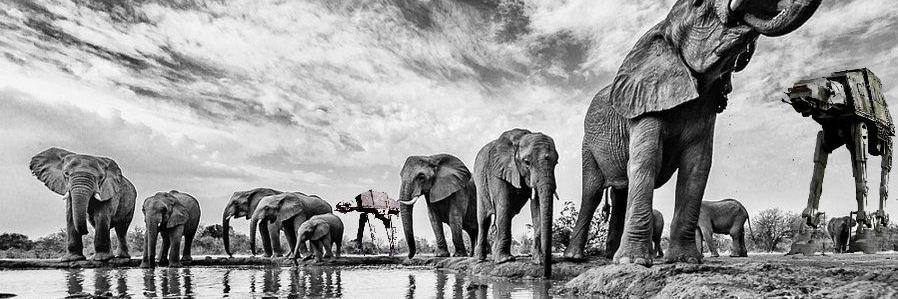 ├ MǾĻΞŠΤĨЄ ┤‏‏ banner