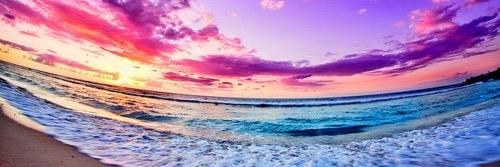Zel banner