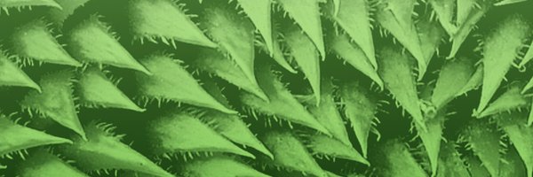 Biomim_MDPI Profile Banner