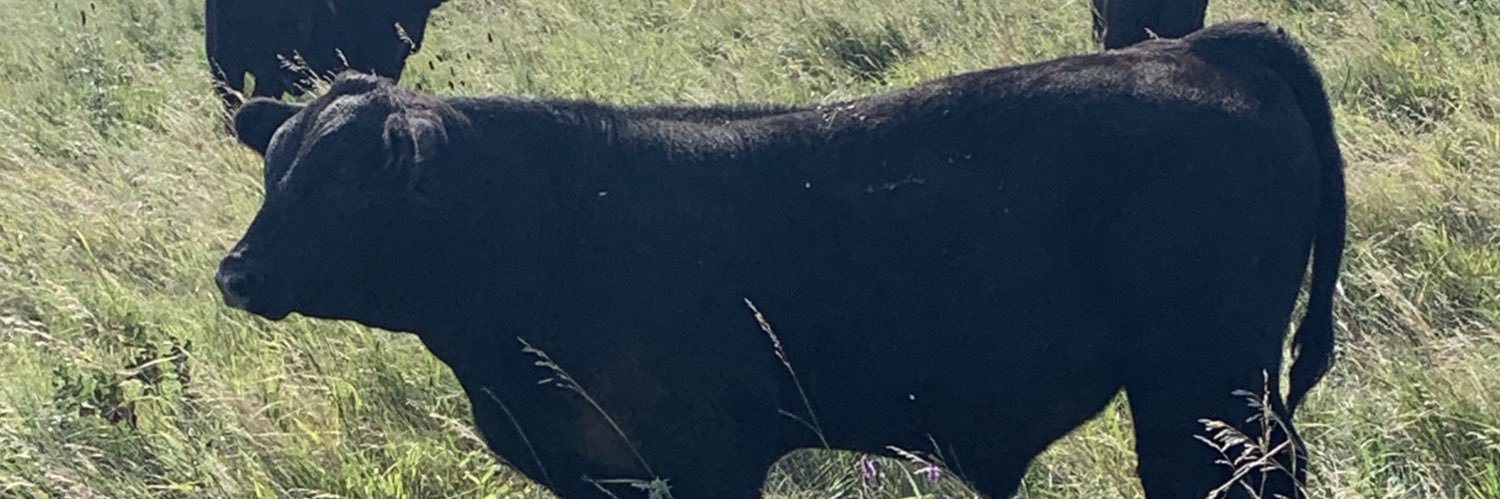 Colton Tobin banner