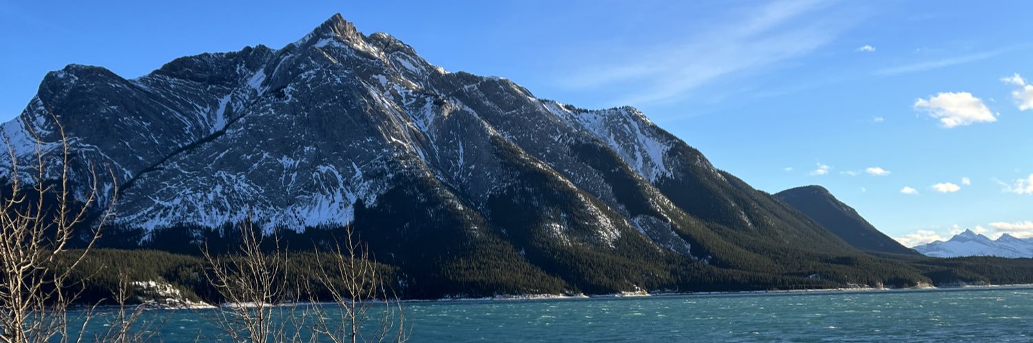 LellisProf's profile banner image