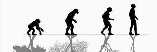 Ariamanfar | آریامن‌فر banner