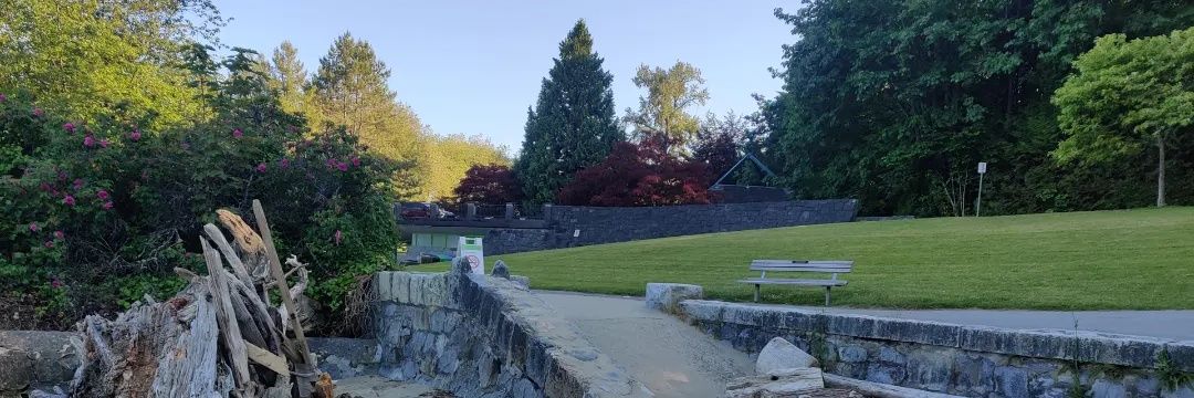 Jennifer D'souza banner