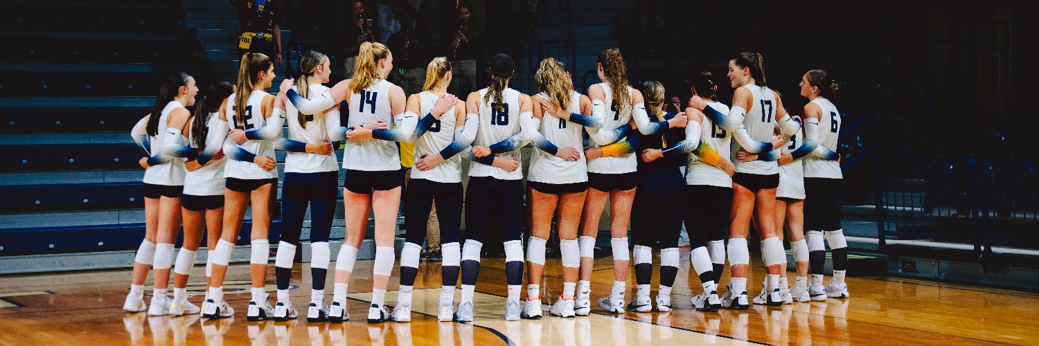 Toledo Volleyball's banner