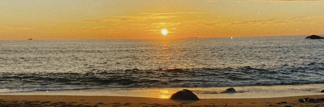 afonsonora_'s profile banner image