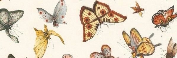LisaPresleyz's profile banner image