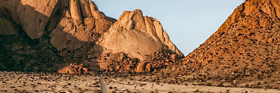 phelimaxjean's profile banner image