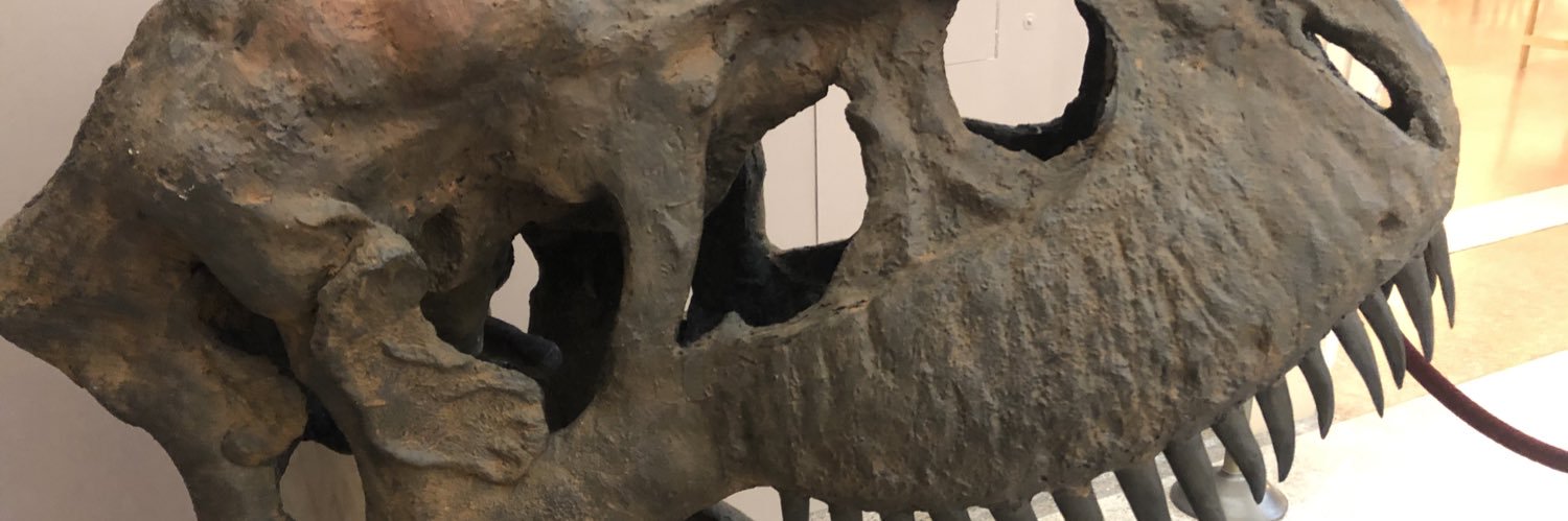 philedey's profile banner image