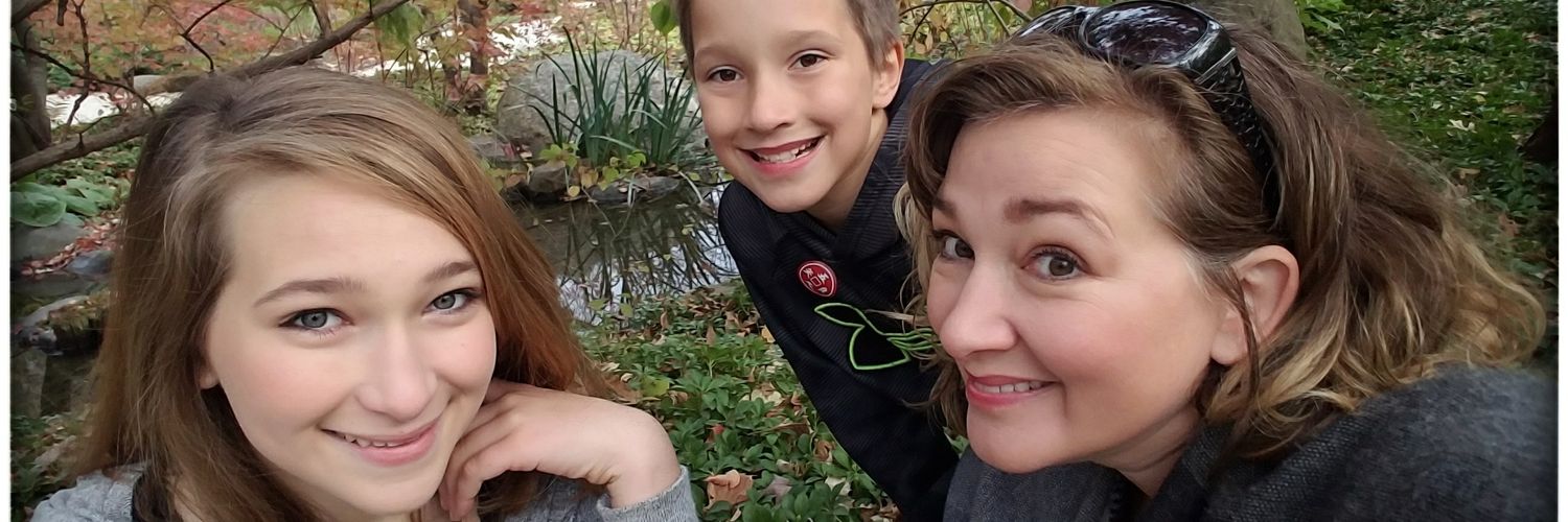 BarbChidley's profile banner image