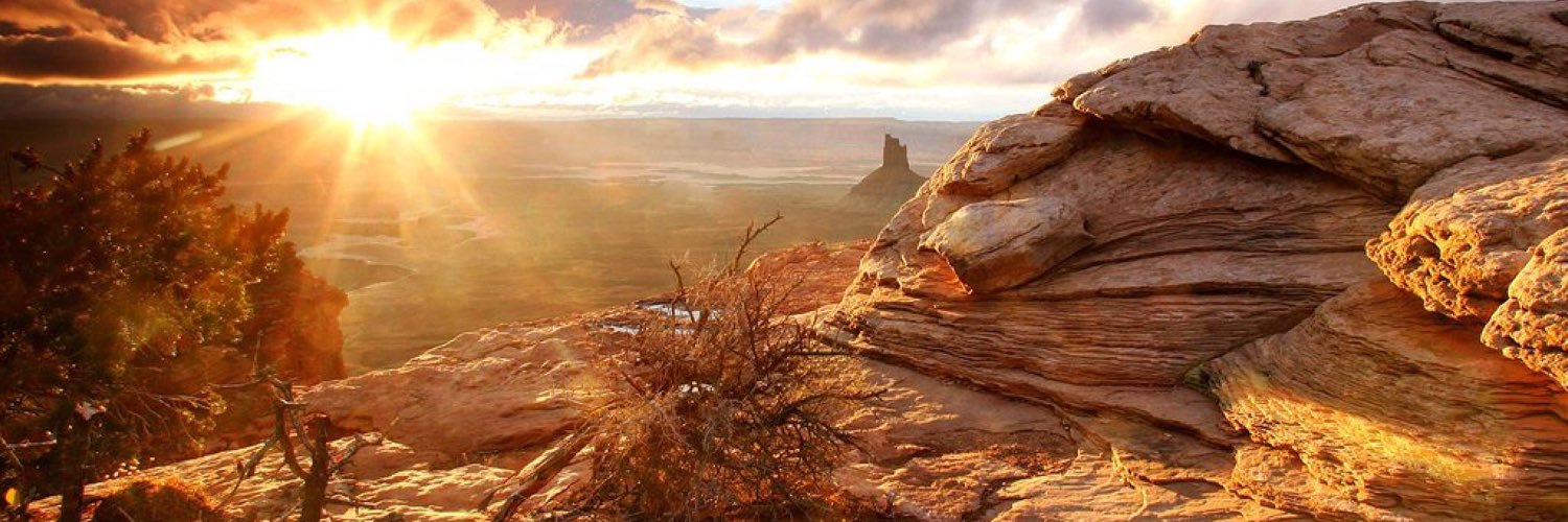 vicmm101's profile banner image