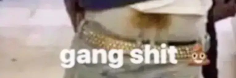 wake the dog up banner