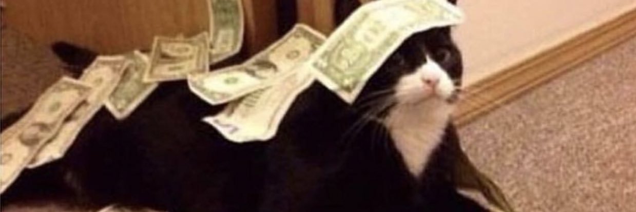 bri_gtrz's profile banner image