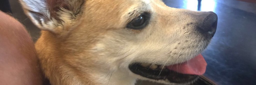 A_Veneeze's profile banner image