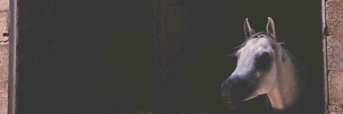 گآاڤ 🥀 banner