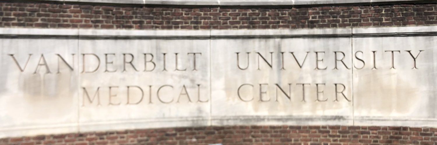 Vanderbilt PSTP/Harrison Society's banner