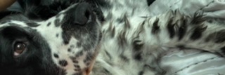 AngeAtkinsonx's profile banner image