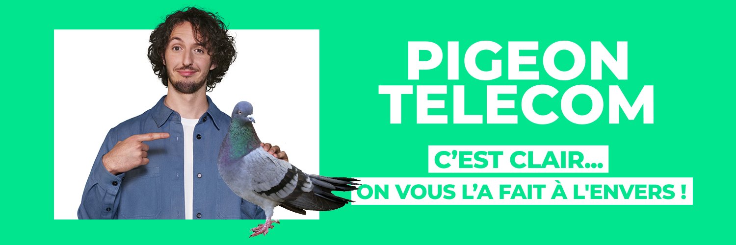 Pigeon Telecom Profile Banner