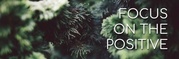 Kashif Chaudary banner