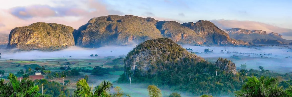 el solitario alegre, leer salmo 91 banner