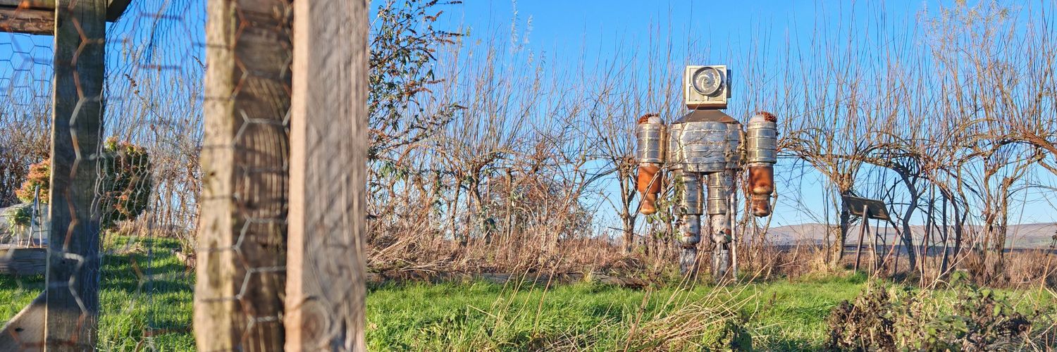 ☀️ Dr Dayman (ah-ah-ah) ☀️ banner