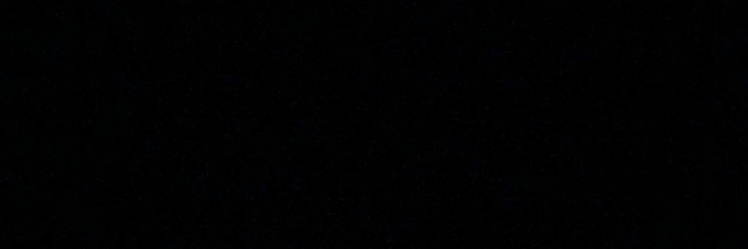 Diego E Lara banner