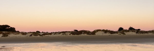 groovyjack14 Profile Banner