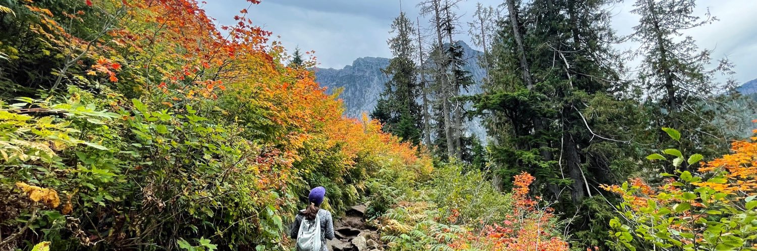 Christine Rehwald 🟧 banner