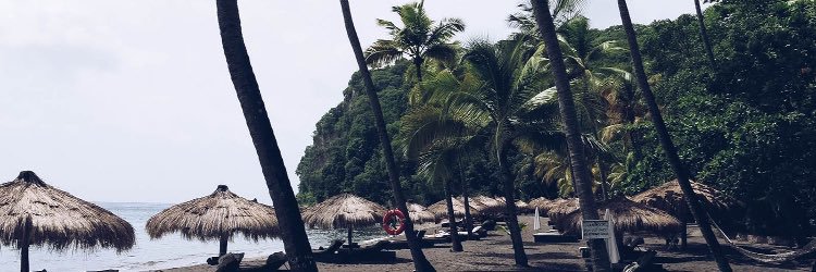 demaioluca's profile banner image