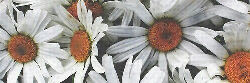 Fede_e_Lu's profile banner image