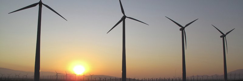 V. Manuel Perez banner