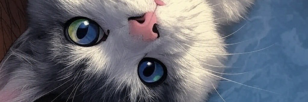 bimagakpd's profile banner image