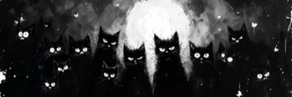 Vertigosnight's profile banner image