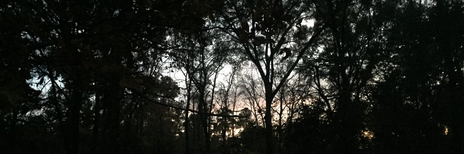 cdsprinkle's profile banner image