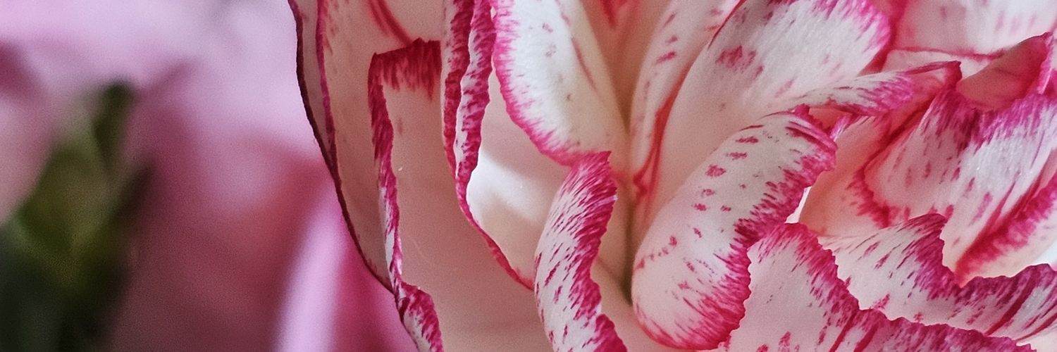 itscharluna's profile banner image