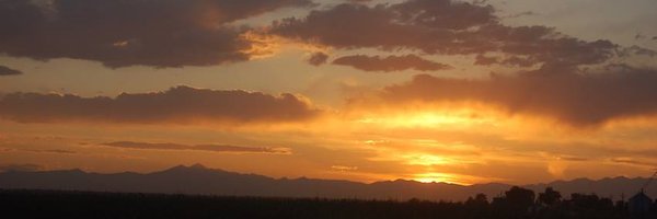 WWCook_CHA Profile Banner