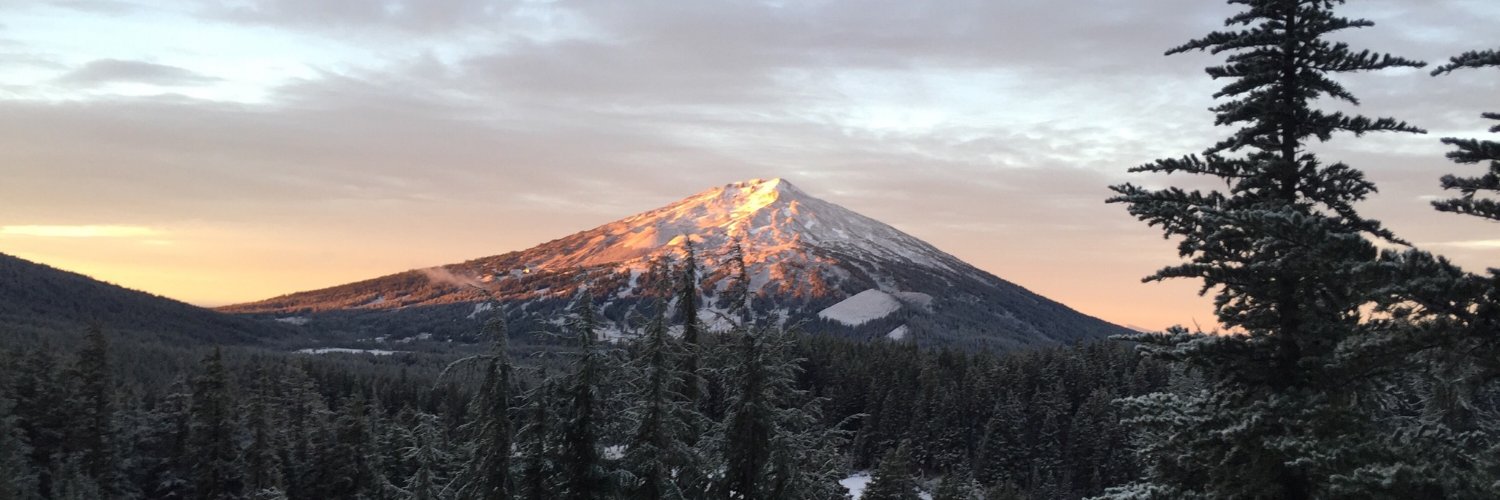 Taylor Reiter banner