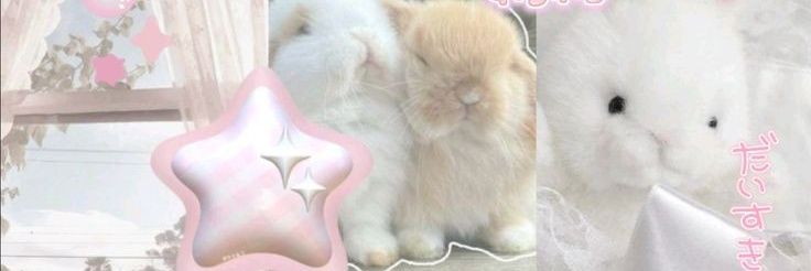 hypawtic's profile banner image