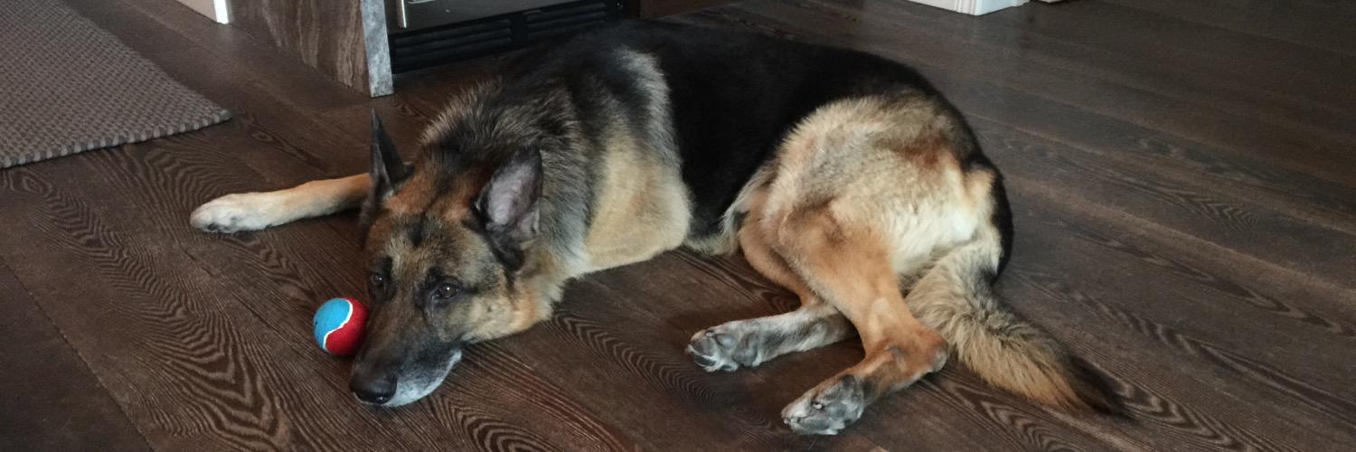 Raymond Raven banner