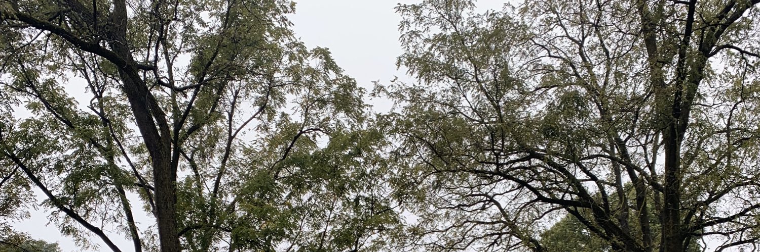 baileywandering's profile banner image