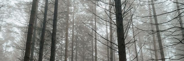 glistaen's profile banner image