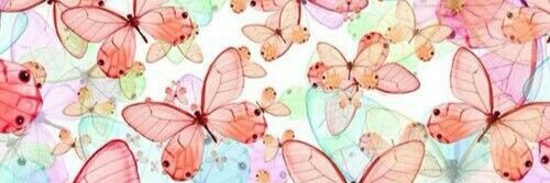 AnaBltran's profile banner image