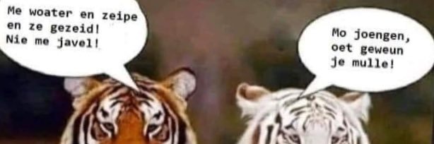 BrechtGovaert's profile banner image